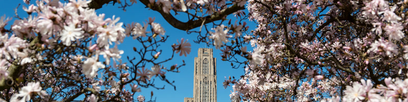 University of Pittsburgh