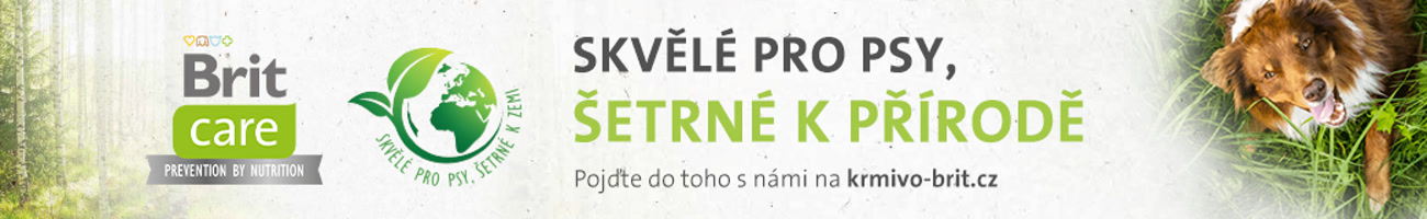 Brit Vánoce