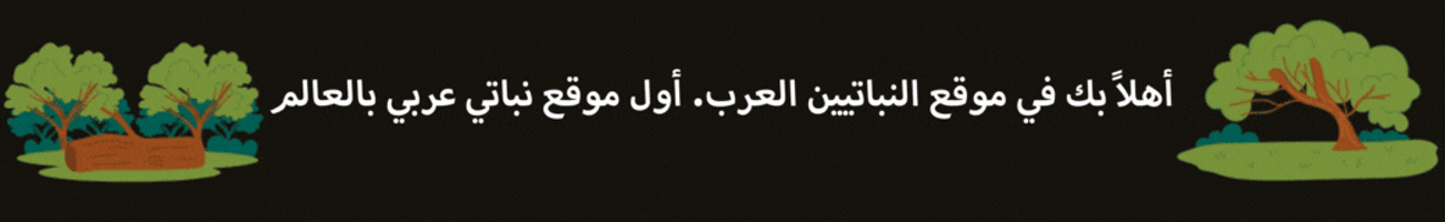 Ramadan - شهر رمضان