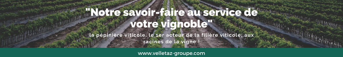 Pépinières Viticoles Velletaz Groupe
