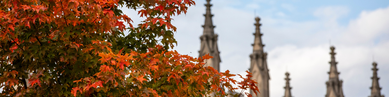 WashU Brown School