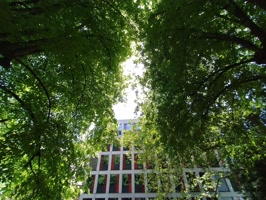 akvorarlberg