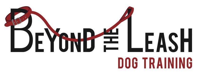 Beyond the hot sale leash training