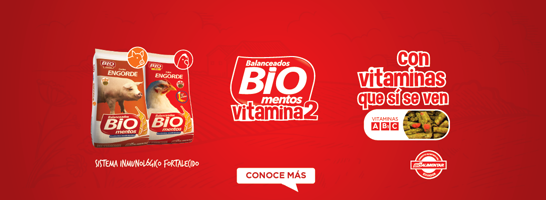 Balanceados BiOmentos