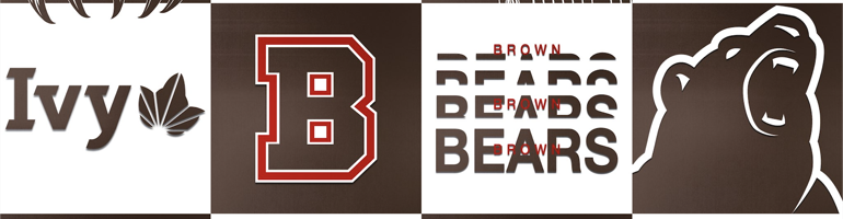 Brown Volleyball