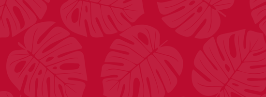 byuhawaii