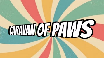 Caravan of Paws