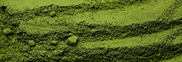 YOSHI Matcha Liqueur