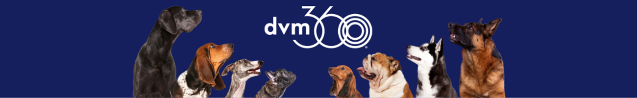 dvm360