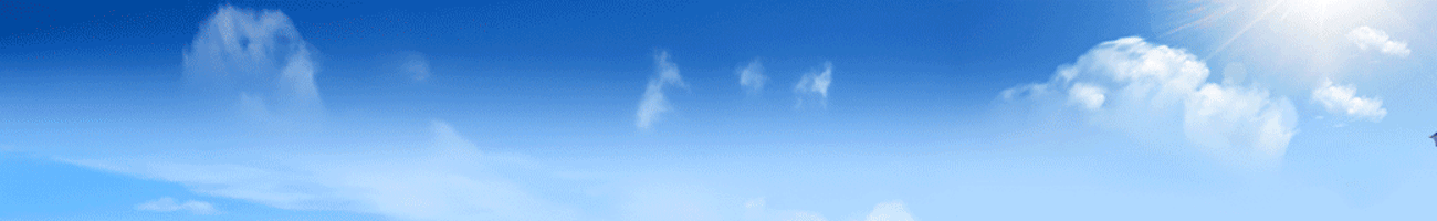 Freebird Airlines