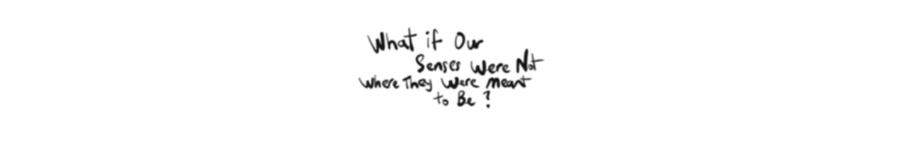 What if our senses...