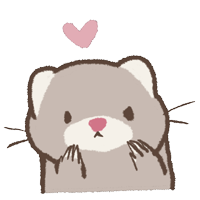 Basic hokkori ferret