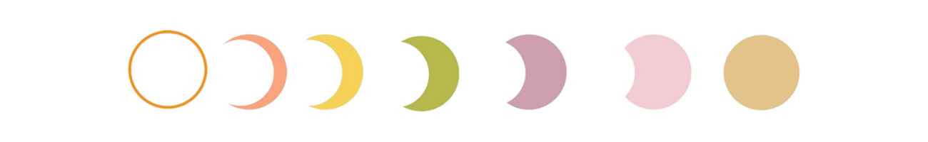 Holistic Beauty Group