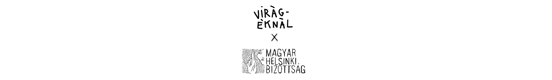 Magyar Helsinki Bizottság