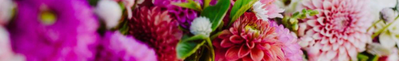 Mama Bees Flower Farm