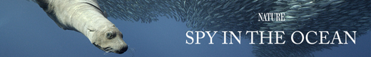 Spy in the Ocean, A NATURE Miniseries