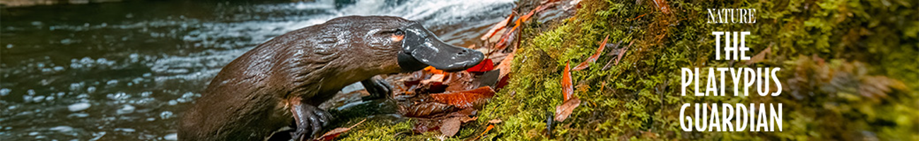 The Platypus Guardian