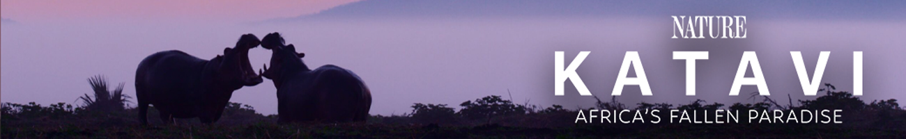 Katavi: Africa's Fallen Paradise