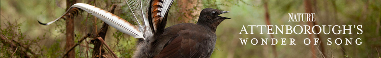 Attenborough’s Wonder of Song
