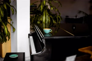 Piano Focus - Online Piano Lessons for Adults
