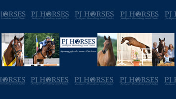 PJHorses