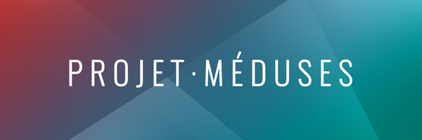 ProjetMeduses