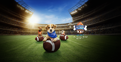 Puppy Bowl XVIII GIFs