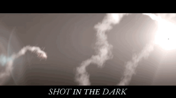 SHOT IN THE DARK