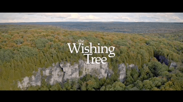 The Wishing Tree