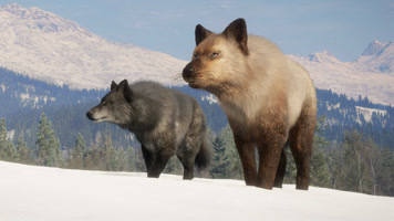 theHunter: Call of the Wild (Official)