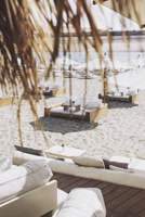 The Ibiza Expert