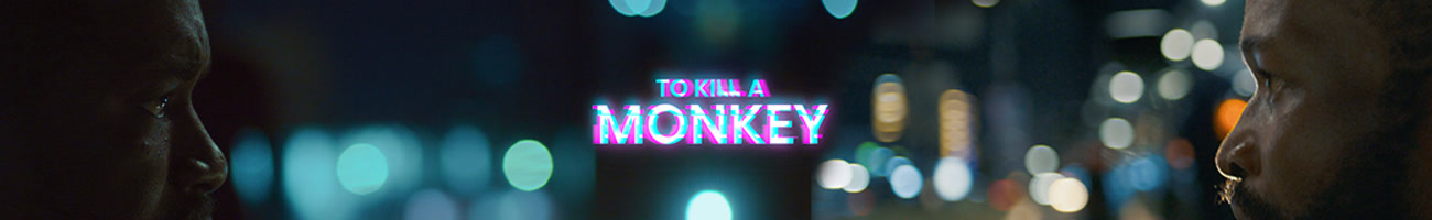 To Kill A Monkey