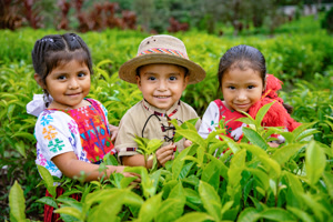 UNICEF Guatemala