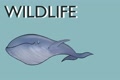 Wildlife stickers