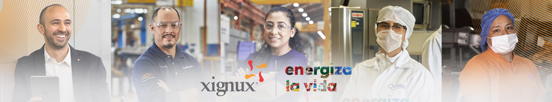 Xignux Corporativo
