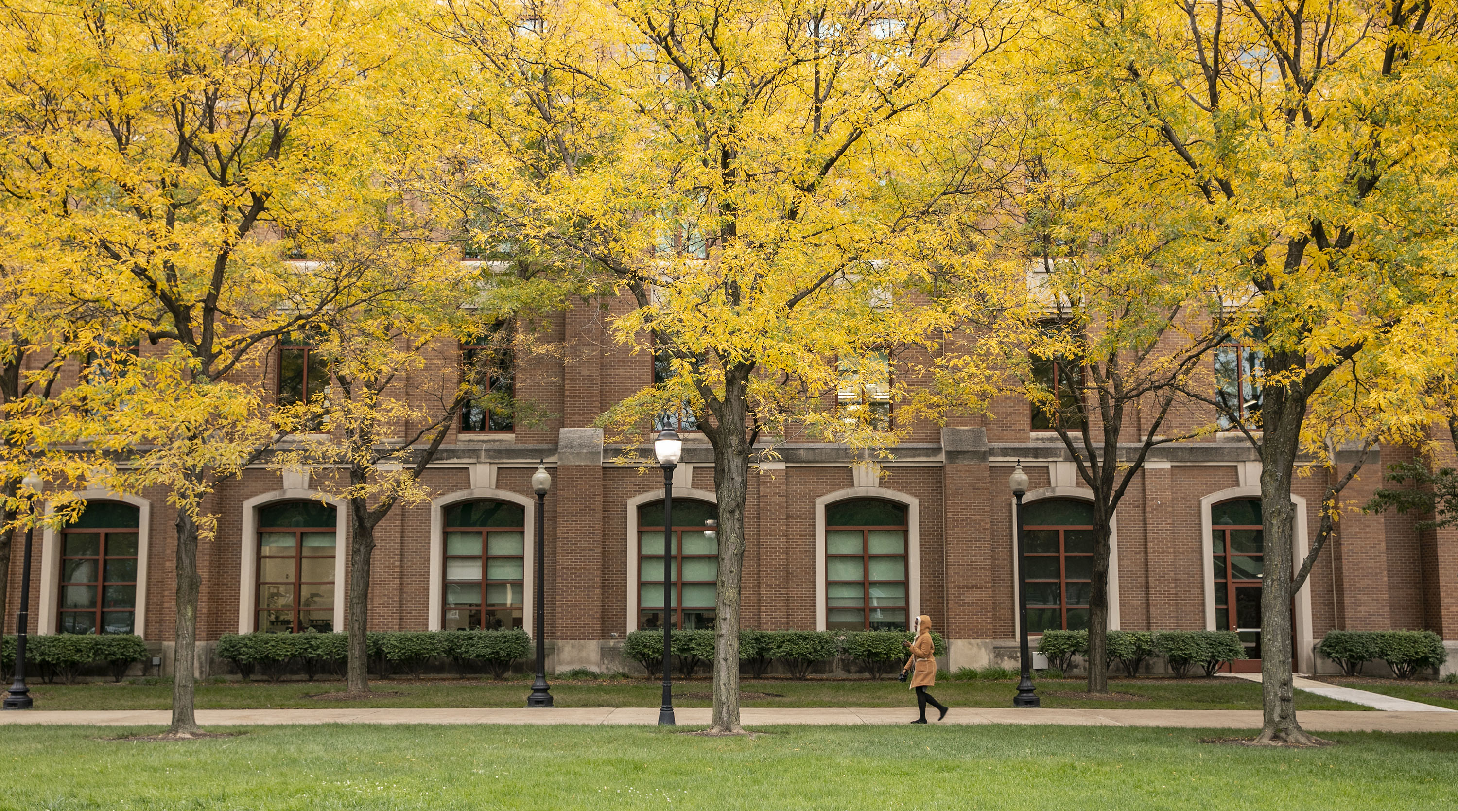 We Are DePaul