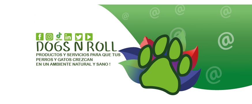 Dogs N Roll Latam