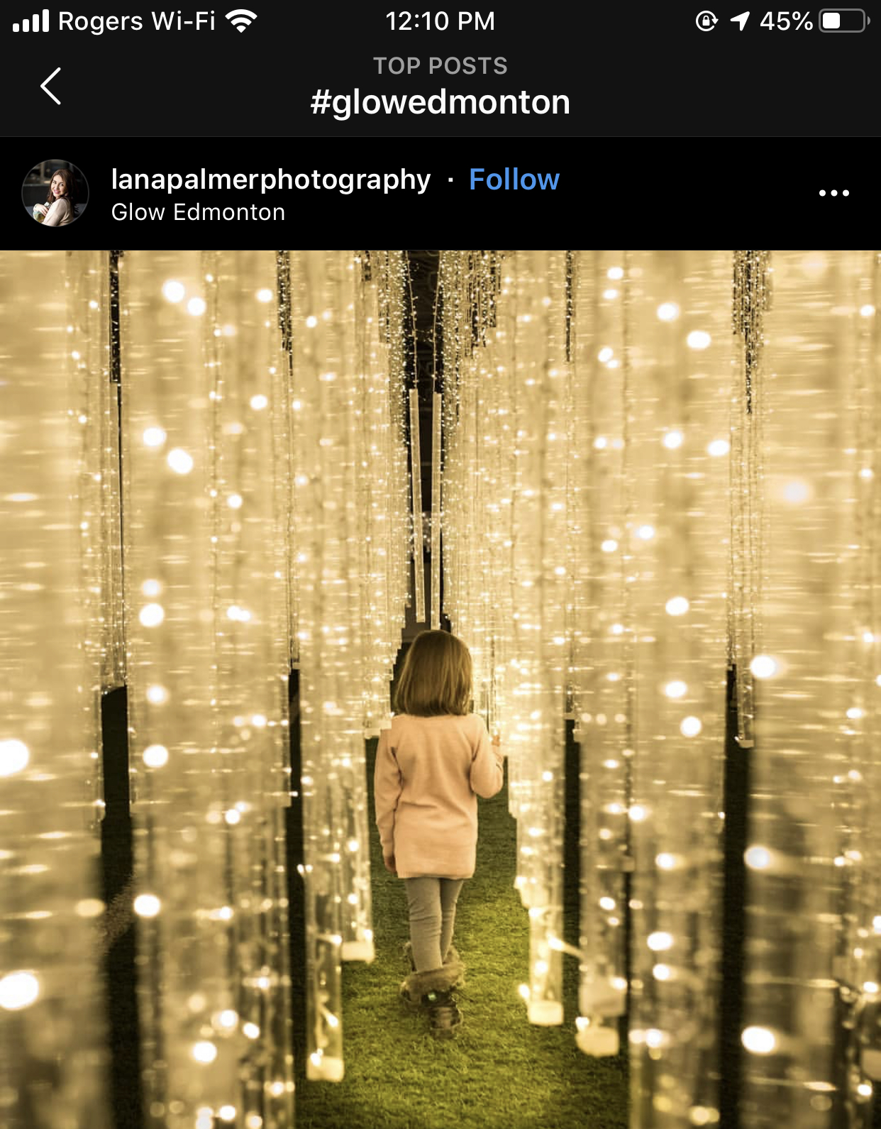 Glow Gardens