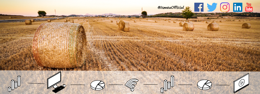 Ismea - Istituto di servizi per il mercato agricolo alimentare