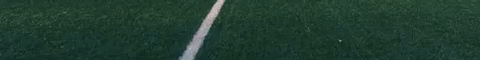 Lafayette Leopards