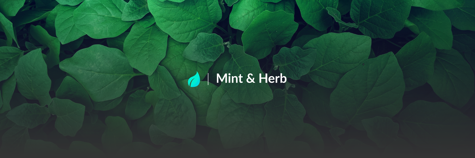 Mint & Herb