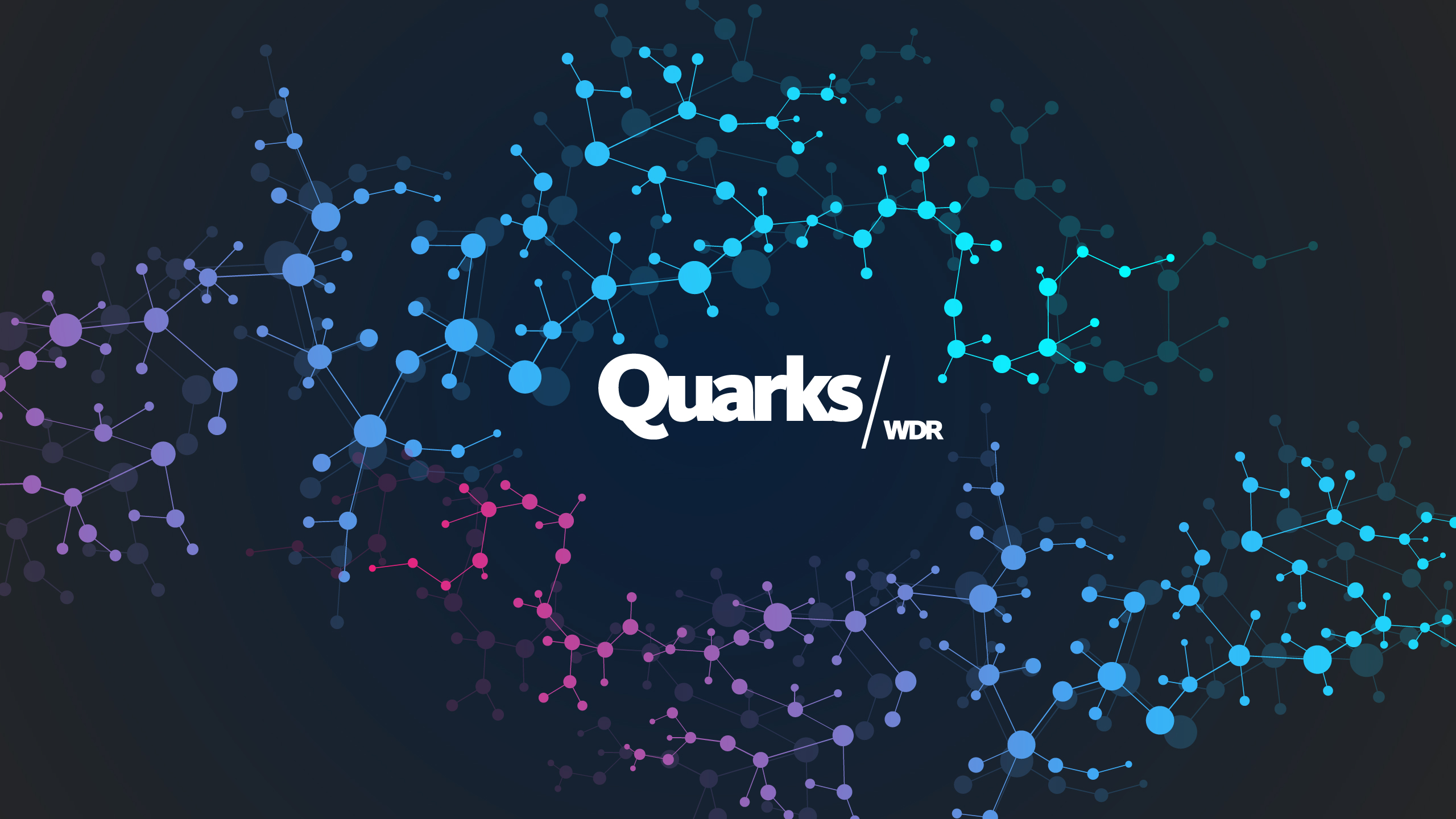 Quarks