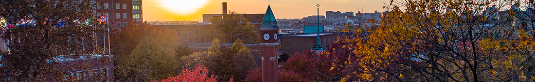 Saint Louis University