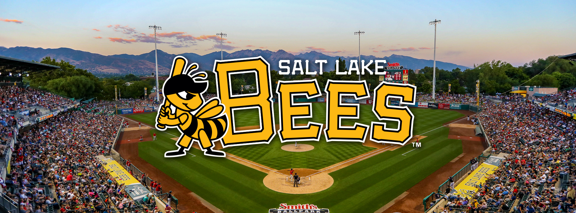 Salt Lake Bees