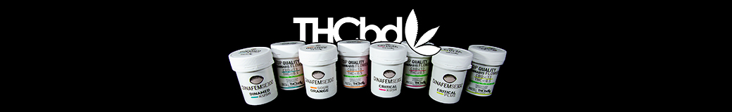 THCbd