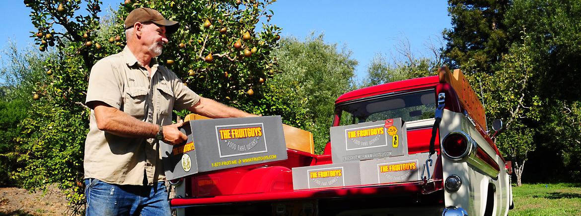 The FruitGuys