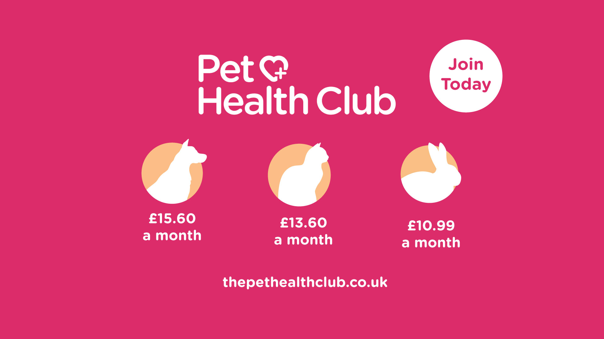 The Pet Health Club GIFs on GIPHY - Be Animated