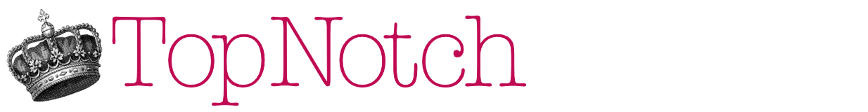 Topnotchvintageshop