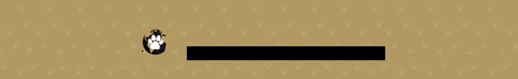 Worldchien
