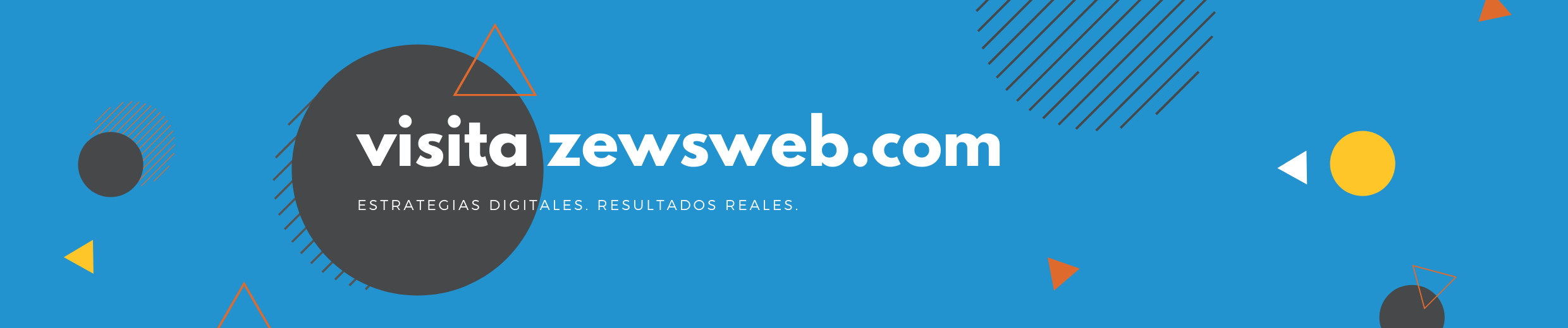 ZEWS Web